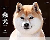【Amazon.co.jp 限定】カレンダー2022 柴犬 (月めくり・壁掛け)【特典データ:柴犬のPC壁紙画像】 (ヤマケイカレンダー2022)