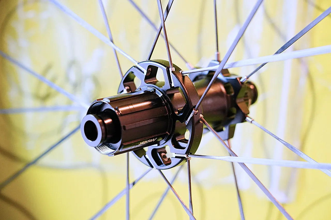 Nepest NOVA X 45/55 インプレッション：革新的カーボンスポーク